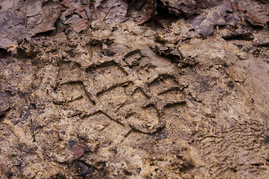 Footprint