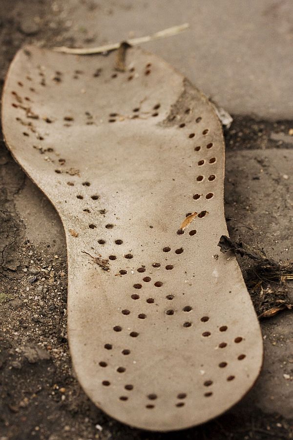 Sole