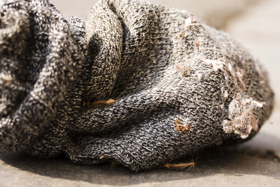 Wool socks