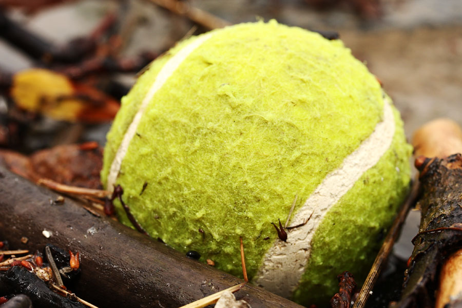 Tennis Ball