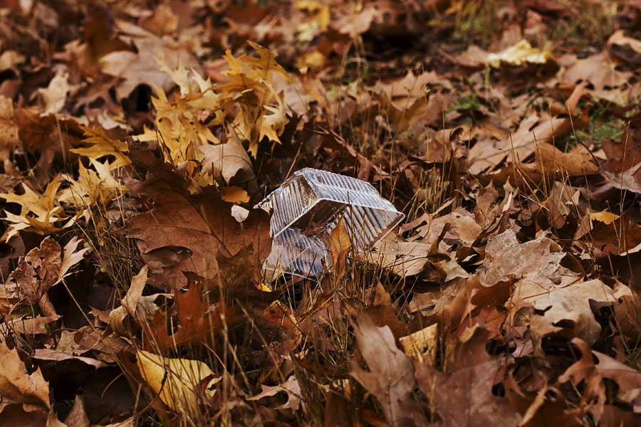 Plastic box