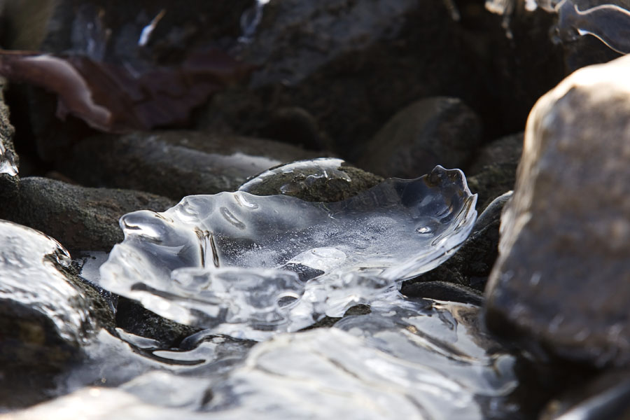 Ice