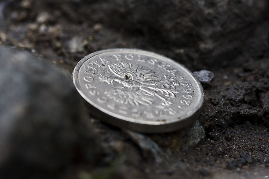 Polish coin