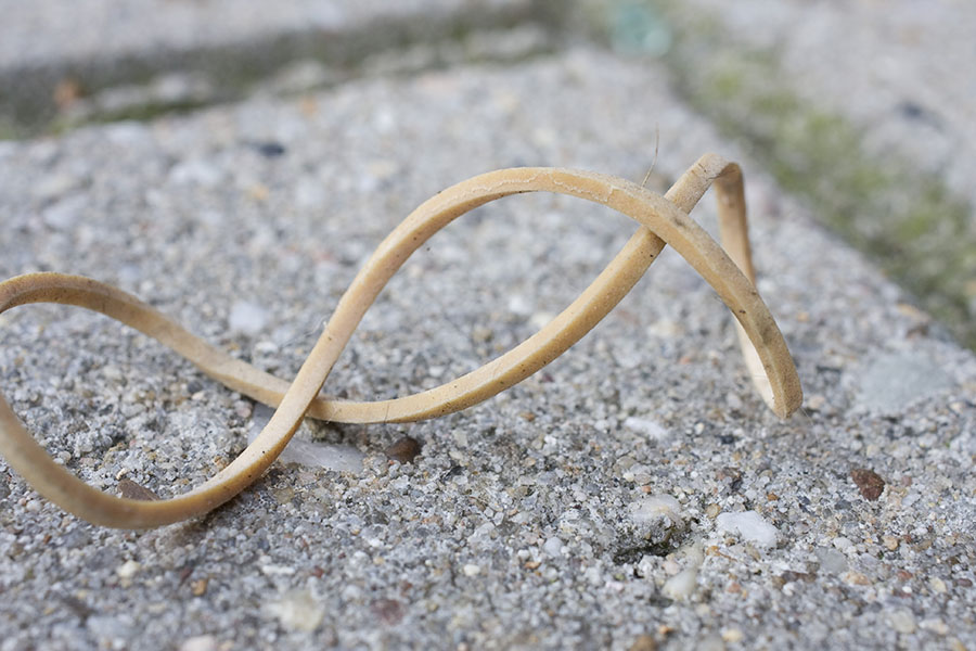 Rubber band